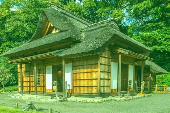 Ava, 35 — Escort in Gamagori, Japan