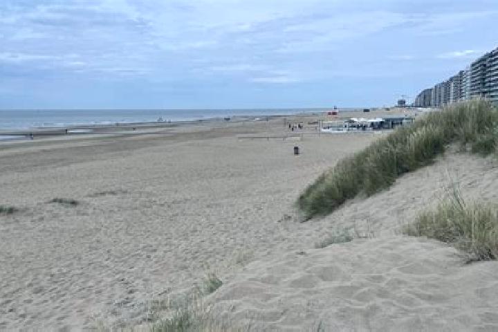 Ava, 35 — Escort in Middelkerke, Belgium