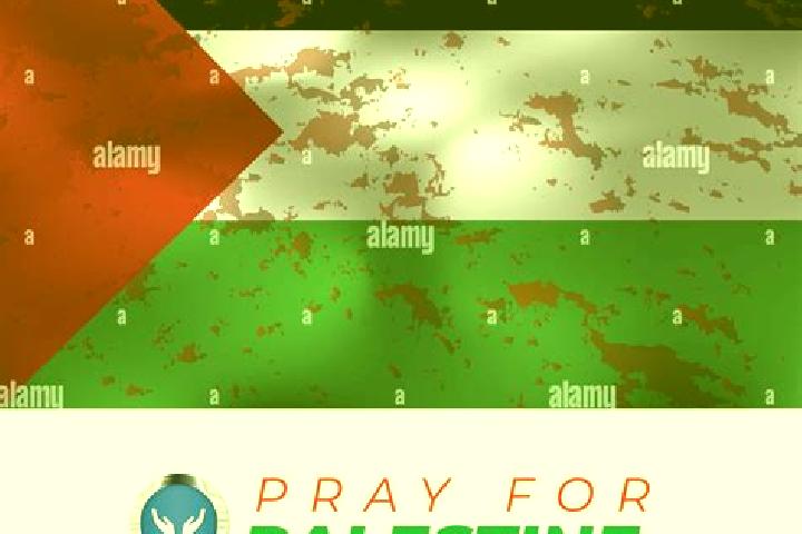 Ava, 35 — Escort in Qatanah, Palestine