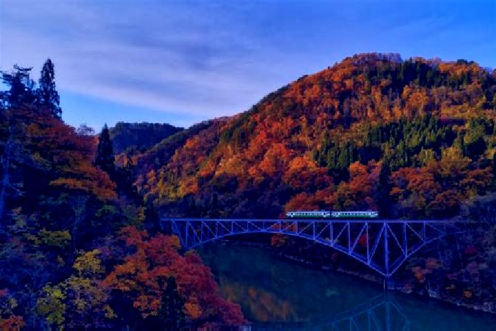 Ava, 35 — Escort in Tadami, Japan