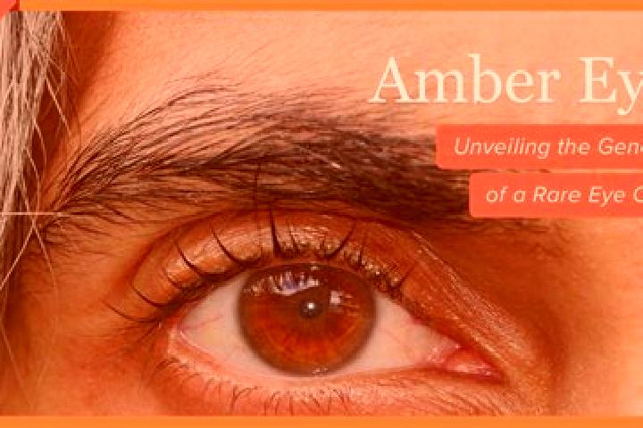 Ava, 36, a black amber-eyed middle eastern companion based in Niquero. Offering OWO, Overnight, Domination, Couples. Available for incall and outcall, overni...