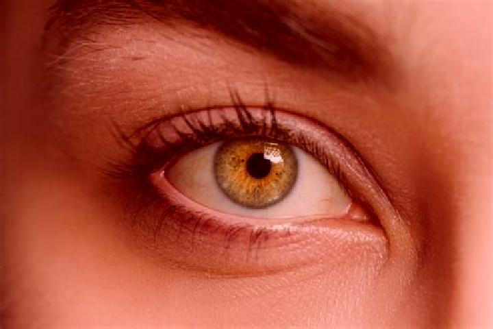 Ava, 36, a chestnut hazel-eyed mixed companion based in Jangalpur. Offering Fetish, GFE, Travel Companion, Erotic Massage. Available for incall and outcall, ...