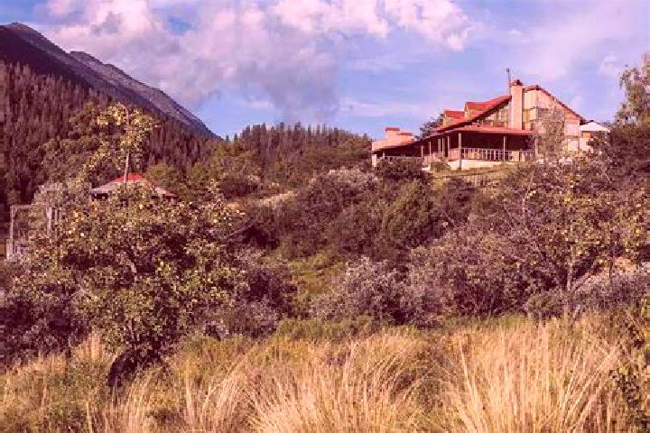 Ava, 36 — Escort in Canada de la Yerbabuena, Mexico