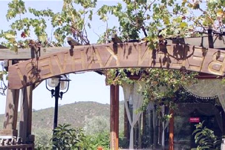 Ava, 36 — Escort in Caybuekue, Turkey