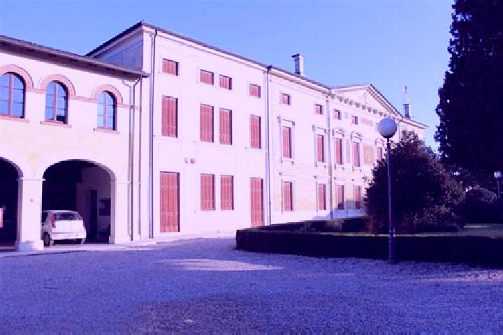 Ava, 36 — Escort in San Pietro di Morubio, Italy