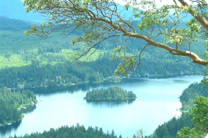Ava, 36 — Escort in Shawnigan Lake, Canada