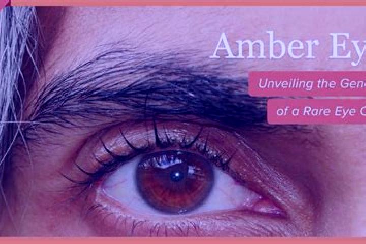 Ava, 37, a black amber-eyed mediterranean companion based in Almoloya de las Granadas. Offering Fetish, Overnight, Girlfriend Experience, Striptease, Dominat...