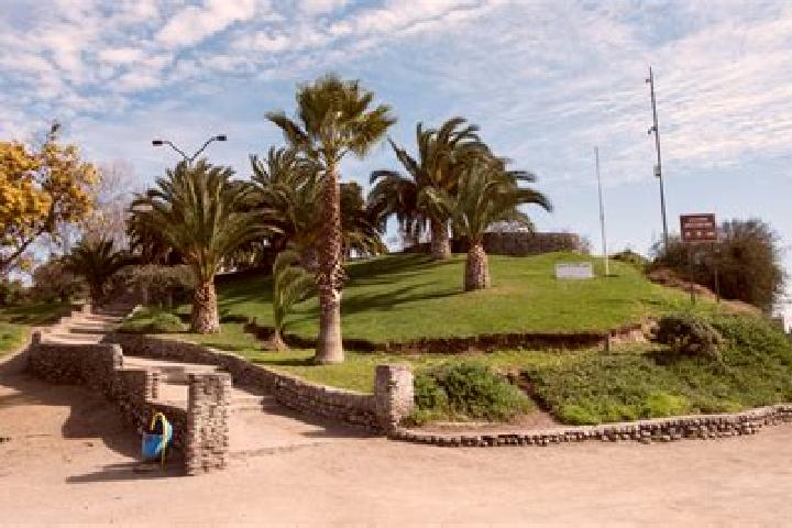 Ava, 37 — Escort in El Cerro, Spain