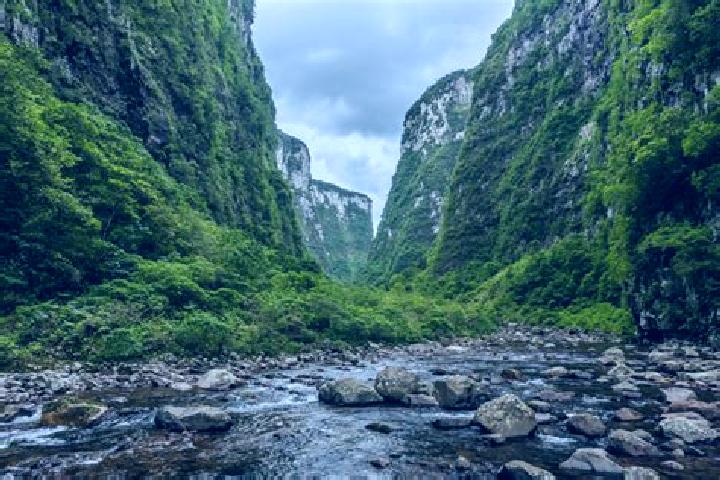 Ava, 37 — Escort in Sao Jeronimo da Serra, Brazil