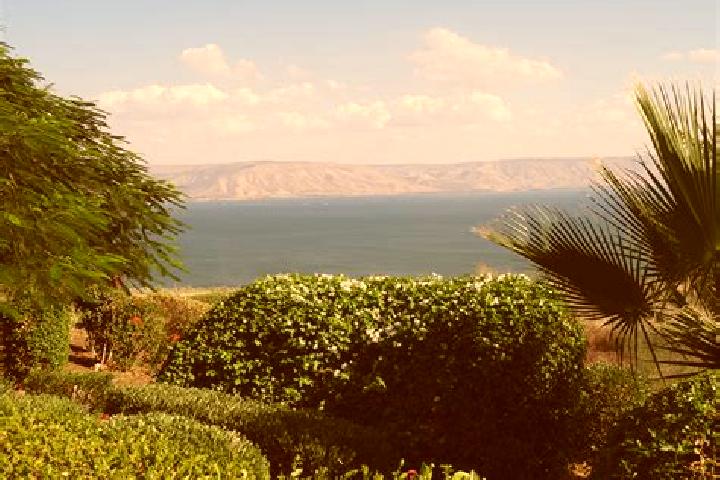 Ava, 37 — Escort in Tiberias, Israel