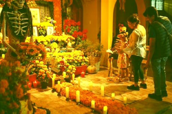 Ava, 37 — Escort in Tuxcacuesco, Mexico