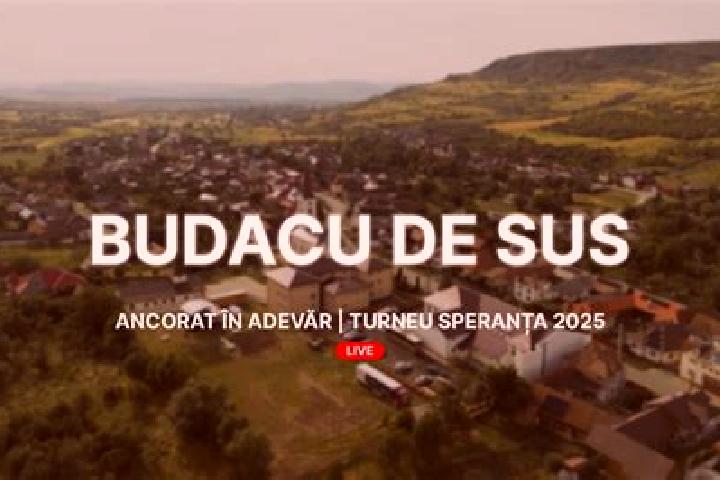 Ava, 38 — Escort in Budacu de Sus, Romania