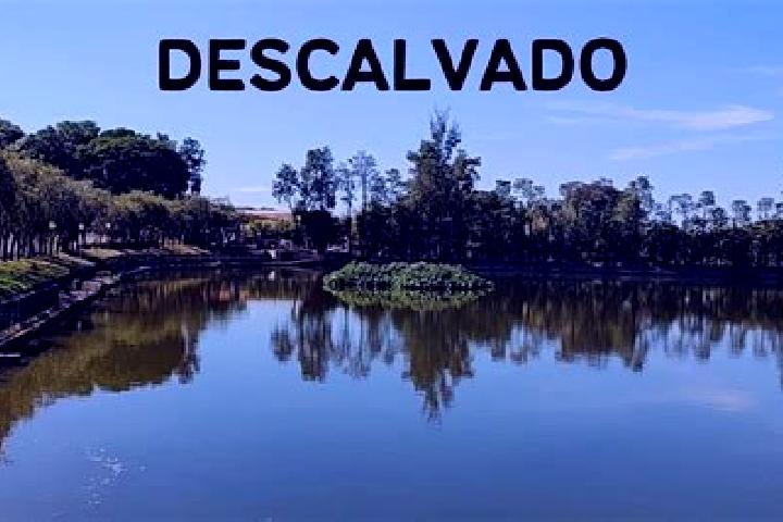 Ava, 38 — Escort in Descalvado, Brazil
