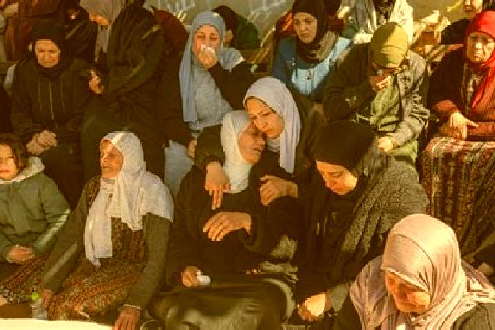 Ava, 38 — Escort in Qaryut, Palestine