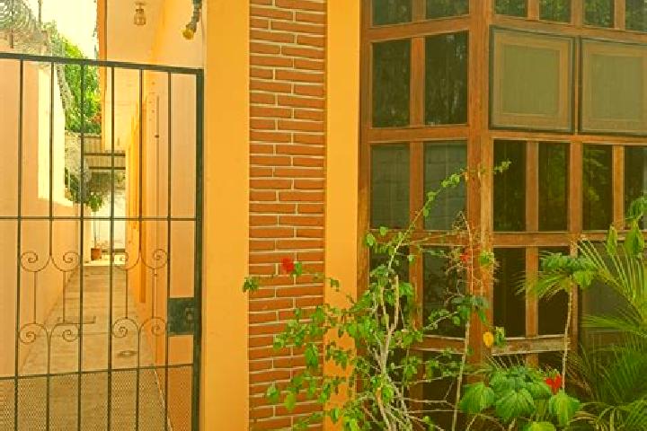 Ava, 38 — Escort in San Pedro Mixtepec Distrito Veintidos, Mexico