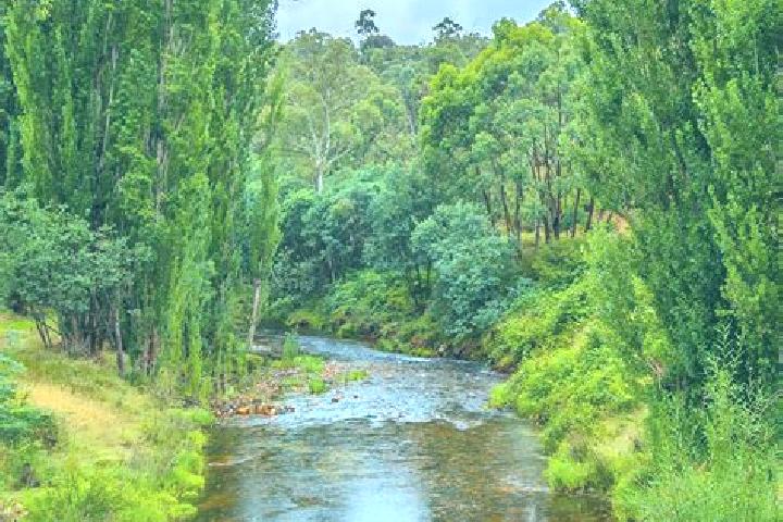Ava, 38 — Escort in Southern River, Australia