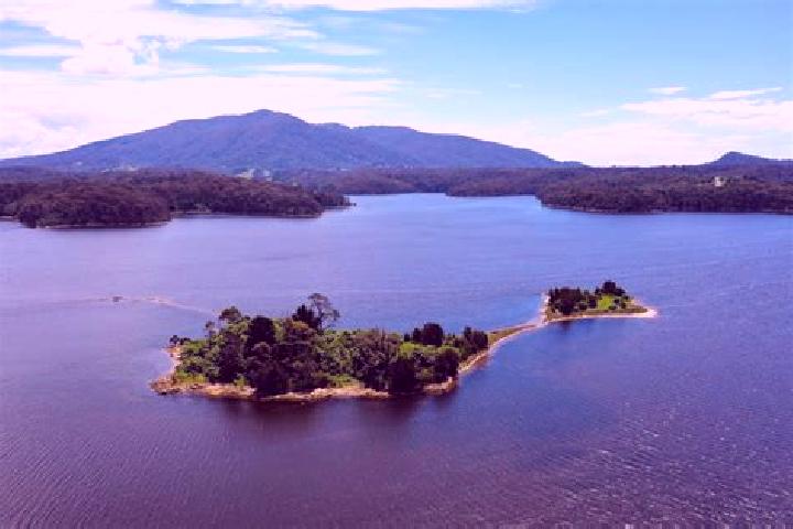 Ava, 38 — Escort in Wallaga Lake, Australia