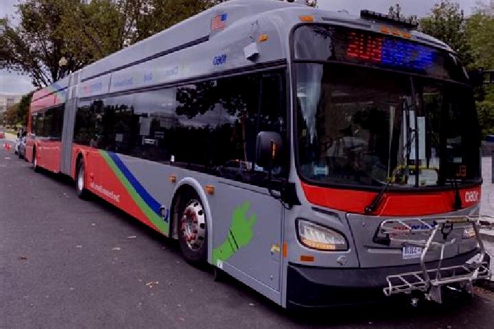 Ava, 39 — Escort in Central 14th Street / WMATA Northern Bus Barn, United States
