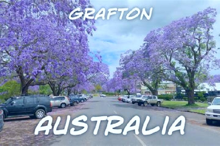 Ava, 39 — Escort in Grafton, Australia