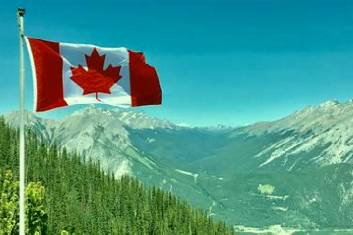 Ava, 39 — Escort in Mackenzie, Canada