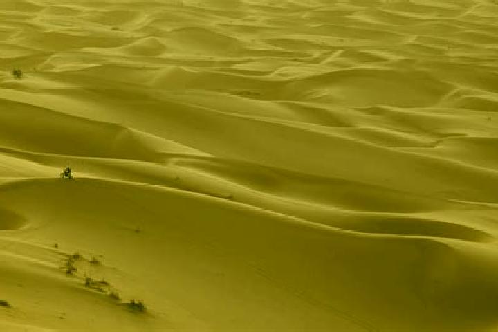Ava, 39 — Escort in Meharrize, Western Sahara