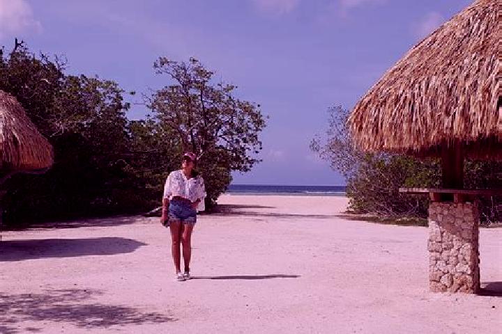 Ava, 39 — Escort in Pos Chiquito, Aruba