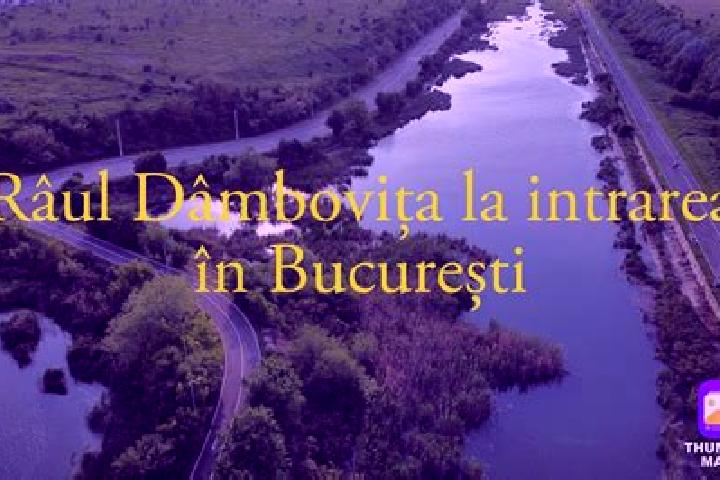 Ava, 39 — Escort in Rau Alb de Sus, Romania