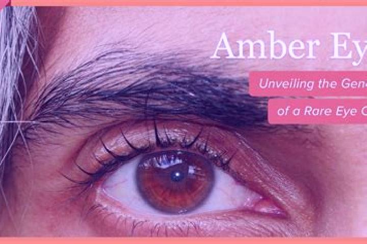 Avery, 20, a black amber-eyed caucasian companion based in Grosskorbetha. Offering Massage, OWO, Girlfriend Experience, Deep French Kissing. Available for in...