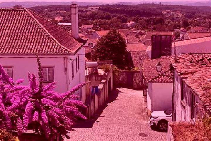 Avery, 20 — Escort in Figueiro dos Vinhos, Portugal