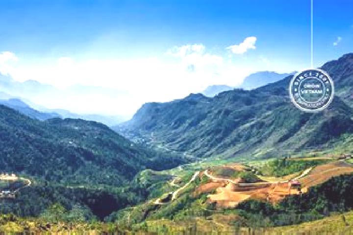 Avery, 20 — Escort in Lao Cai, Vietnam