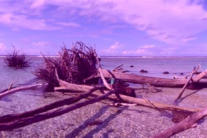 Avery, 20 — Escort in Saratamata, Vanuatu