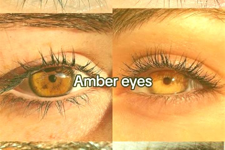 Avery, 21, a dark blonde amber-eyed middle eastern companion based in Calzada del Coto. Offering Deep French Kissing, Couples, Party Girl, OWO. Available for...
