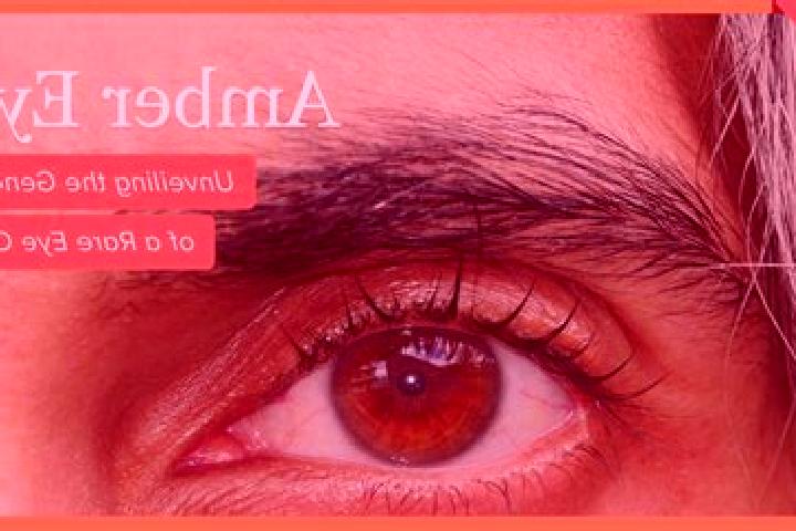 Avery, 21, a red amber-eyed indian companion based in Paltinata. Offering Duos, Fetish, Prostate Massage, 69. Available for incall and outcall, overnight boo...