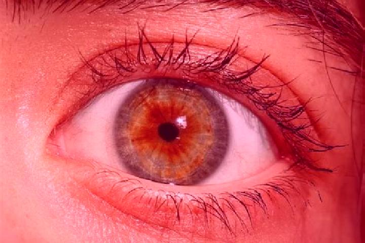 Avery, 21, a red hazel-eyed slavic companion based in Hutten. Offering Party Girl, OWO, BDSM, Duos, A-Level. Available for incall and outcall, overnight book...