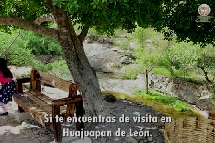 Avery, 21 — Escort in Loma de Hujuapan, Mexico