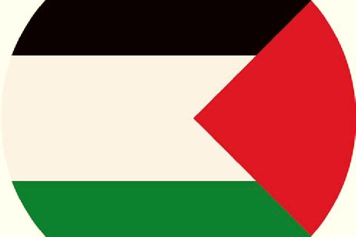 Avery, 21 — Escort in Ni lin, Palestine