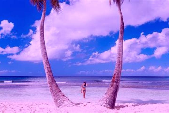 Avery, 21 — Escort in Punta Cana, Dominican Republic