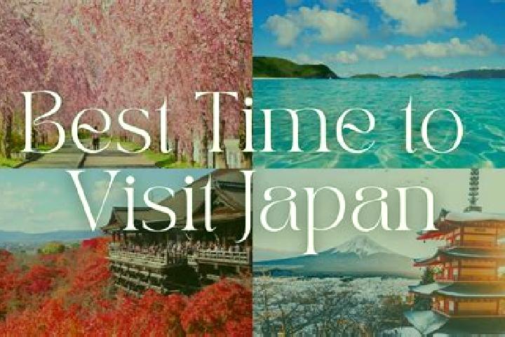 Avery, 22 — Escort in Chitose, Japan