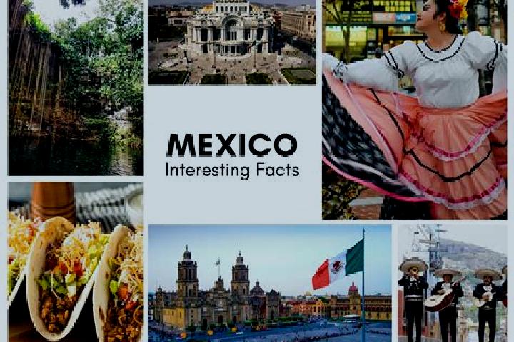 Avery, 22 — Escort in Colonia Municipal, Mexico