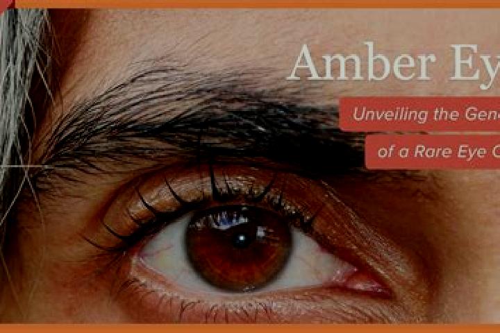 Avery, 23, a red amber-eyed caribbean companion based in Birtlingen. Offering Party Girl, OWO. Available for incall and outcall, day and evening dates.