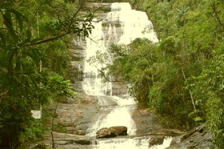 Avery, 23 — Escort in Dores do Rio Preto, Brazil