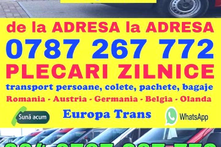 Avery, 23 — Escort in Mogosani, Romania