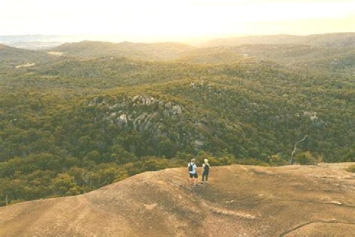 Avery, 23 — Escort in Pheasants Nest, Australia