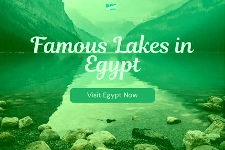 Avery, 23 — Escort in Sidi Barani, Egypt