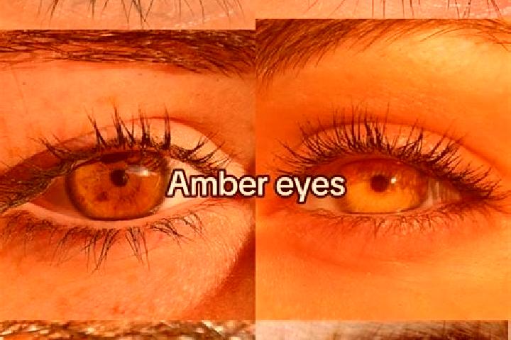Avery, 24, a chestnut amber-eyed caucasian companion based in Rosegaferro. Offering OWO, Tantra, Deep French Kissing, Travel Companion. Available for incall ...