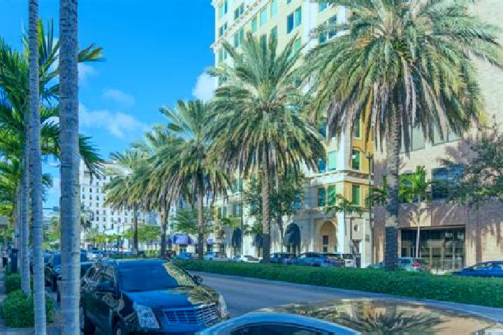 Avery, 24 — Escort in Coral Gables, Cayman Islands