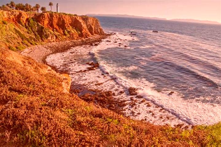 Avery, 24 — Escort in Palos Verdes, Mexico