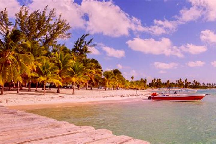 Avery, 24 — Escort in San Cristobal, Dominican Republic