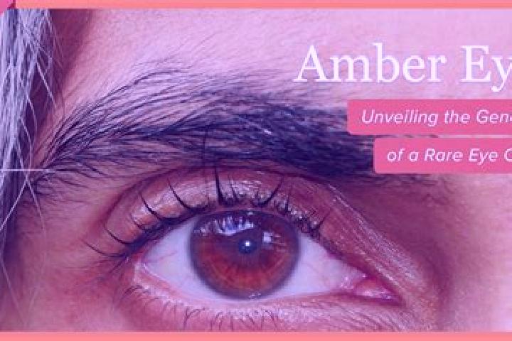 Avery, 25, a black amber-eyed mixed companion based in Vendin-les-Bethune. Offering Domination, CIM, Duos, A-Level, OWO. Available for incall and outcall, ov...