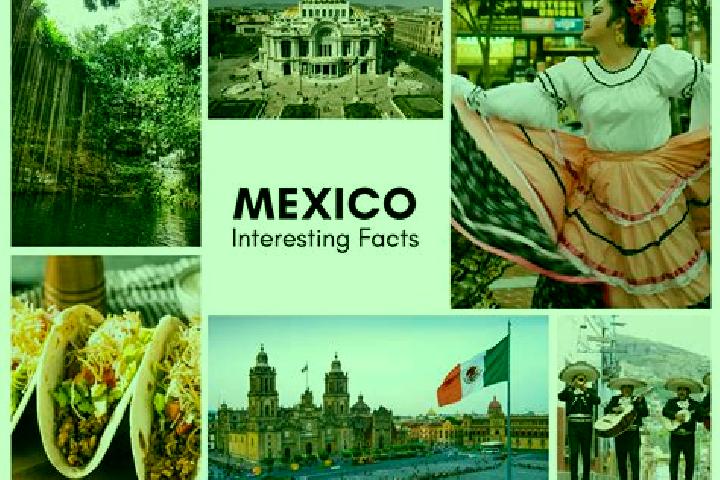 Avery, 25 — Escort in Axotlan, Mexico